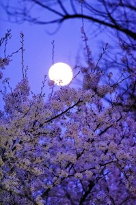 Spring Full Moon